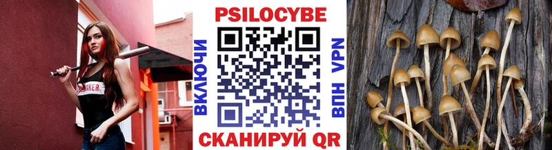 Псилоцибиновые грибы ЛСД  Купить где  Козловка 